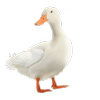 Avatar of MsmFnafBoi