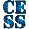 Avatar of CESS