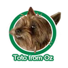 Avatar of Toto_from_Oz
