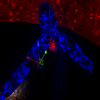 Avatar of DocVR222