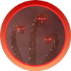Avatar of Ryan_Kattau