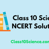 Avatar of class10science