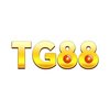 Avatar of tg88bmcom