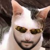 Avatar of Fintary