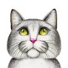 Avatar of Pengguna Indihome
