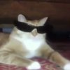 Avatar of SadGames777
