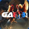 Avatar of ga888click
