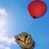 Avatar of ballincat91