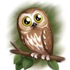 Avatar of nata_archi