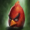 Avatar of tobbytimbi