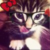 Avatar of Cheesylasgna