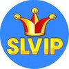 Avatar of Slvip