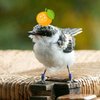 Avatar of Tit_birdy