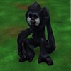 Avatar of Emil-