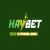 Avatar of HAYBET