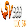Avatar of SV388