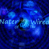 Avatar of Nater.Of.The.Wired