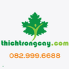 Avatar of thichtrongcay
