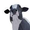 Avatar of Beautiful Animals (nyilonelycompany + theappgod)