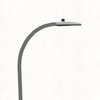 Avatar of RoadStreetLightGeek71