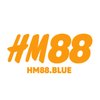 Avatar of Hm88blue