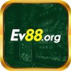 Avatar of ev88org