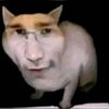 Avatar of clobb