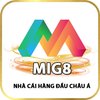 Avatar of mig8fun