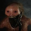 Avatar of THE_RAT-MAN