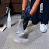 Avatar of Carpet Cleaning Manly