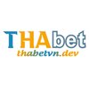 Avatar of thabetvndev