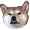 Avatar of assholless