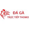 Avatar of Đá Gà Trực Tiếp Thomo Hôm Nay