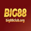Avatar of Big88