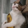 Avatar of datavuis