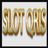 Avatar of slotqris2025