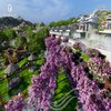 Avatar of danaurvillas&homestay