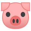 Avatar of Donny the newbie