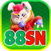 Avatar of 88SNcombr