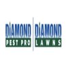 Avatar of Diamond Lawns