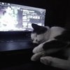 Avatar of seojun2233