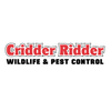 Avatar of Cridder Ridder