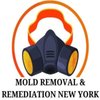 Avatar of Mold Removal & Remediation New York - Bronx