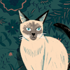 Avatar of CGpub