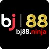 Avatar of bj88.ninja