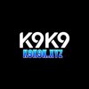 Avatar of K9k9k xyz