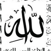 Avatar of nisarashariff24