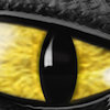 Avatar of Alpha14