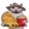 Avatar of topzed