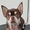 Avatar of roykiki27
